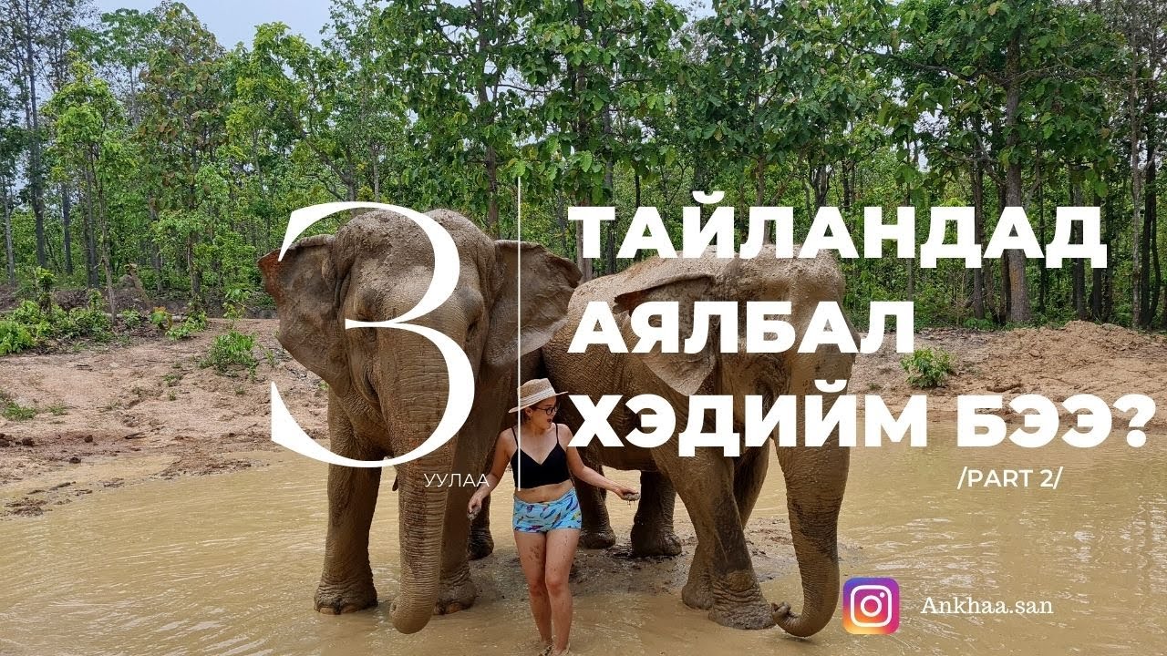 🇹🇭 Тайланд явбал хэдиймбэээ? 𝐓𝐫𝐢𝐩 𝐭𝐨 𝐓𝐡𝐚𝐢𝐥𝐚𝐧𝐝 / Part2/