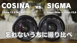 広角マクロで値段も安いレンズを撮り比べ　COSINA 24mm F2.8 MC MACRO vs. SIGMA Super-Wide II 24mm F2.8
