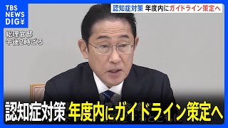 政府　認知症対策 年度内にガイドライン策定へ　「レカネマブ」に関する検査・相談体制の整備も｜TBS NEWS DIG