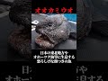あまりにも巨大…人類が遭遇した謎の巨大魚3選 #shorts #ゆっくり解説