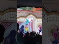 Ras Leela Darshan