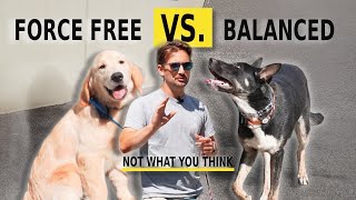 Force Free vs Balanced Training