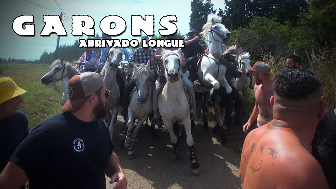 GARONS Abrivado Longue 22-06-2024 🐴