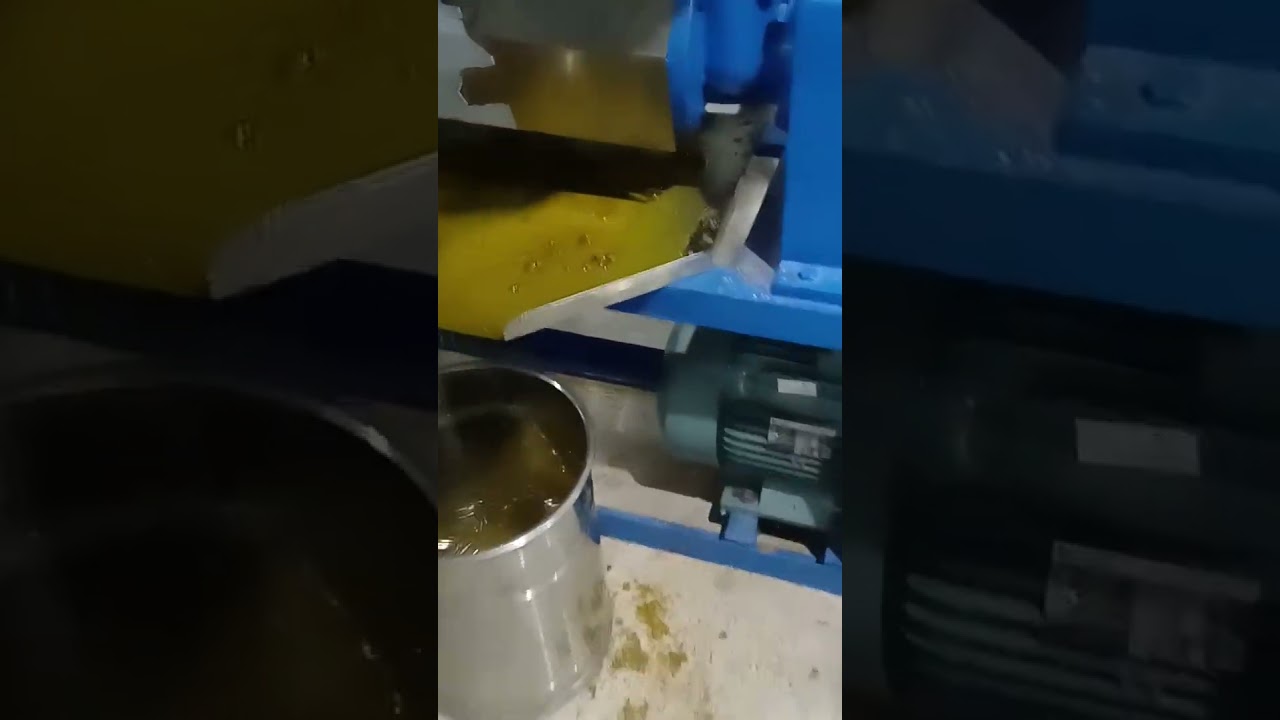 10 Hp Expeller cold press oil Expeller machine