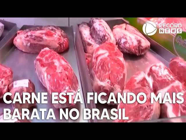 ISKCON contribui para o aumento do vegetarianismo no Brasil, o maior  exportador mundial de carne bovina. (Versión en Portugués) – Portal de  ISKCON NOTICIAS