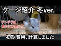 【チンチラのケージ紹介】気になる初期費用を計算しました。Chinchilla