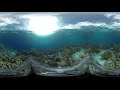 Underwater 360° - 4K Ocean Meditation for Daydream, Oculus, Gear VR