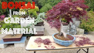Creating Bonsai from Garden Material... PART 4 - Greenwood Bonsai Studio