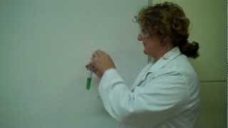 Effect of CO2 on pH of water (universal indicator)