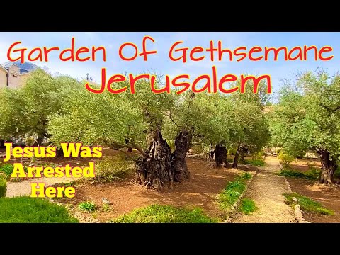 GARDEN OF GETHSEMANE