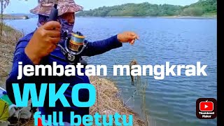 ndondong barat WKO full betutu.pemancing nila pedoooot@mitus chanel