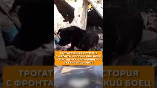 Российский боец спас щенка, застрявшего в сетке от дронов