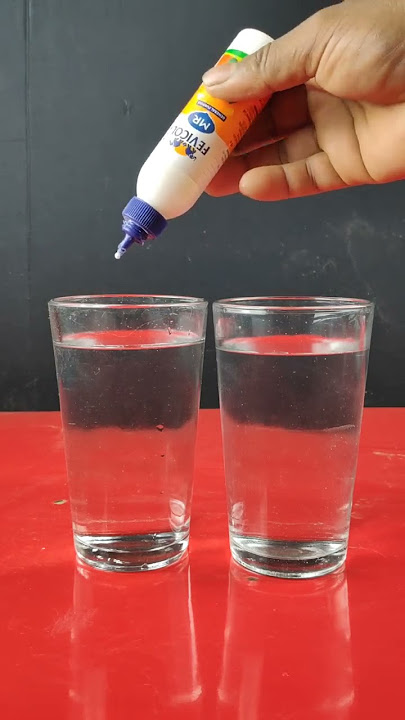 🔥fevicol vs cool normal water||experiment|Easy experiment #shorts