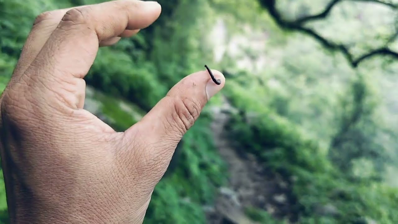 PAHADI Life 🧬 😍❤️🌧️