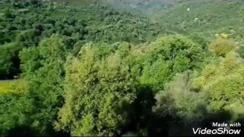 سورة البروج   الشيخ محمد المحيسني