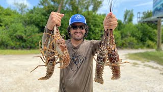 Langostas Atrapando Y Cocinando David Madrid