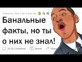 Какой БАНАЛЬНЫЙ факт ты узнал СЛИШКОМ ПОЗДНО?