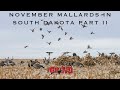 November Mallards in South Dakota Part II | The Grind S10:E6