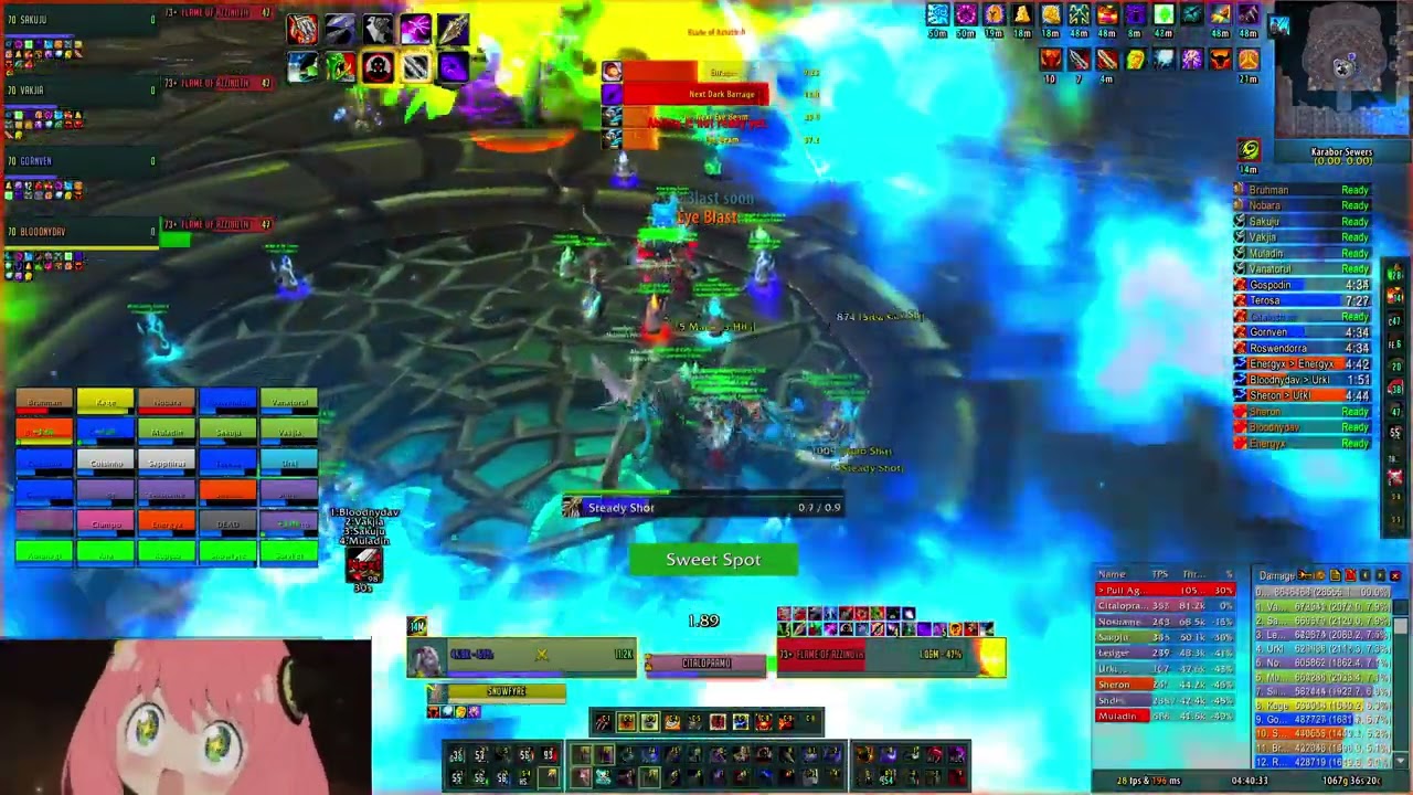 Netherwing WOW TBC / Wasted Potential EU Guild First Kill on Illidan. BM hunter POV