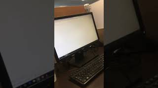 IMG 3903