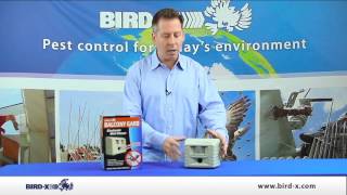 Bird X   Balcony Gard Product Video
