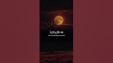 اكتب شيء تؤجر عليه 😴💚 قران كريم | ياسر الدوسري