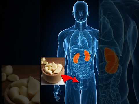 تتناول الثوم النيئ يومي ا اكتشف 5 أسرار مذهلة ستغير حياتك تمام ا