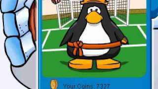Richest club penguin 1 (romdam)