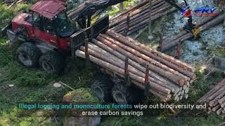 Timber Construction  Sustainable Innovation or Hidden Environmental Cost