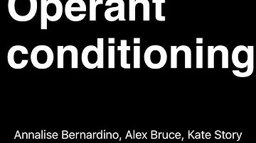 PSY 311 video project