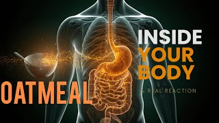 Oatmeal Digestion Explained | Benefits, Side Effects & Body Reaction (3D)