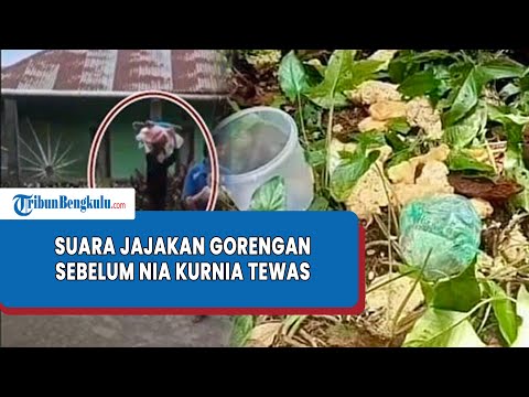 Nia Kurnia Sari Tahu Isi Bakwan