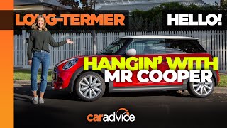 2020 Mini Cooper S Review Long Term Review Introduction Caradvice