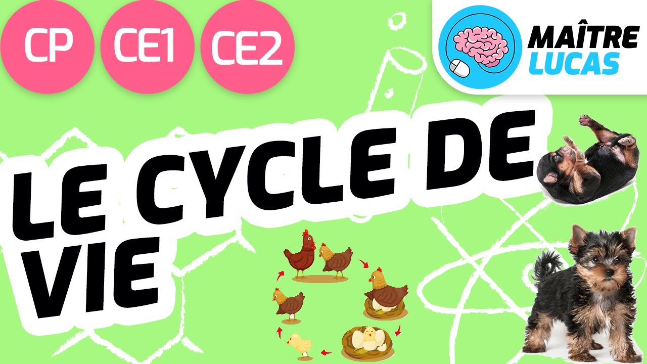 Cycle De Vie Animaux Etres Vivants Page De Garde Dessin Le cycle de vie des êtres vivants CP - CE1- CE2 - Cycle 2 - Questionner
