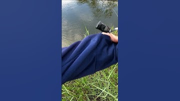 Câu Cá Lóc Táp Liên Tục Luôn Và Cái Kết #HiếuRâuVlog