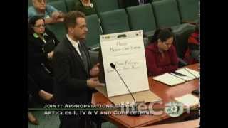 Texas Prison Health Care: Testimony to House Appropriations Committee (May 29, 2014)