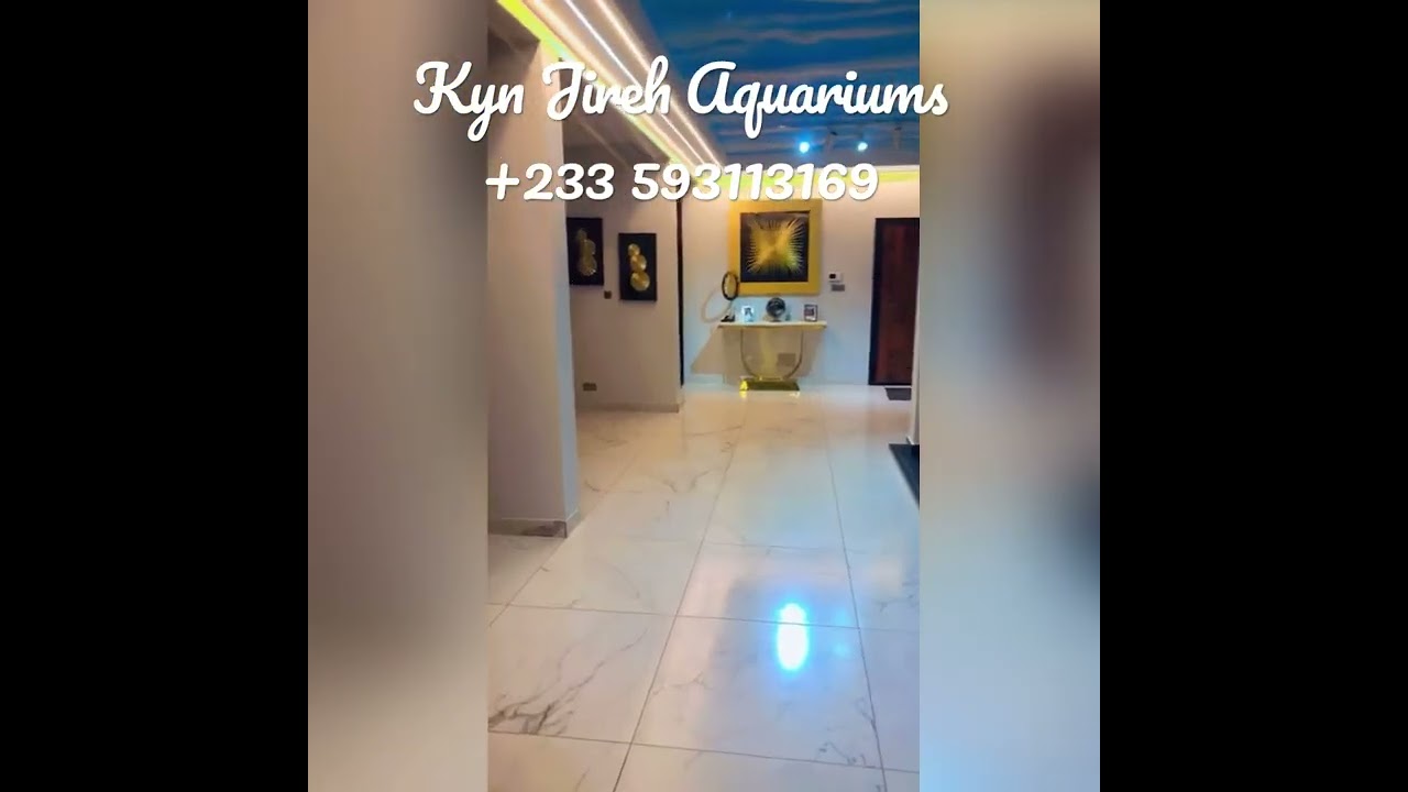Aquarium With Live Fishes 10 Feet Tempered Glass