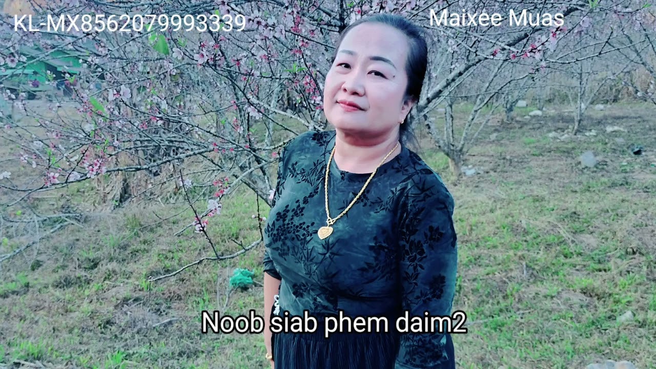 Noob siab phem daim2   3/1/2026