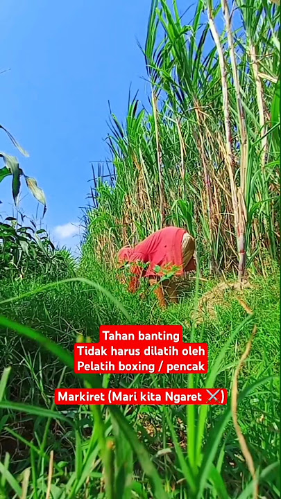 Kata kata mas iyun #masiyun #fauzana #sobatngaret #kandangsobatngaret #yunfa