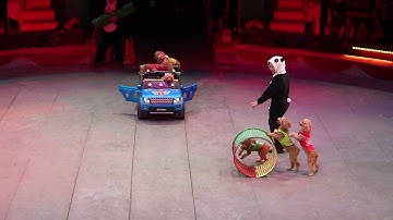 Xiếc thú tại rạp xiếc TW