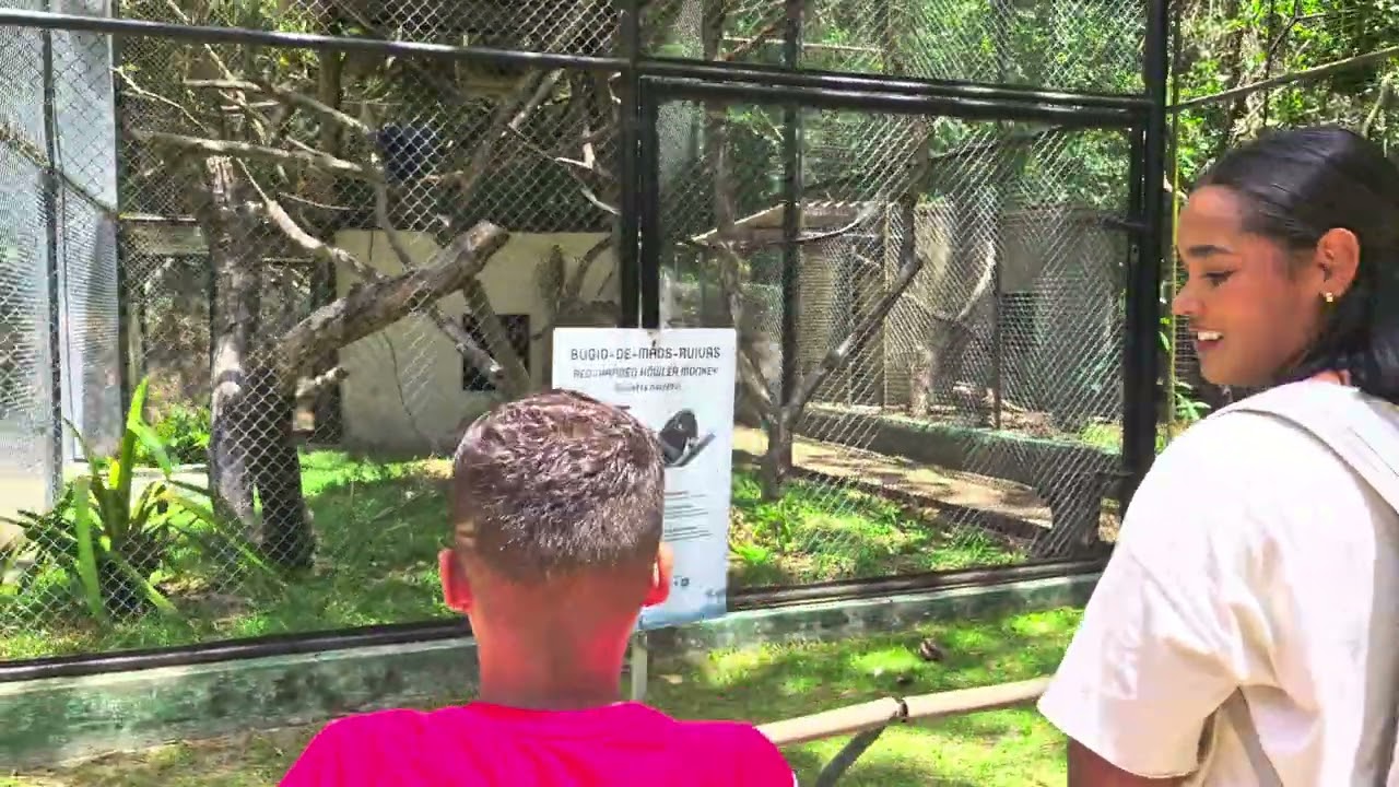 Complemento do passeio no Parque Estadual Dois Irmãos - Recife - PE 🌳🐒🦋