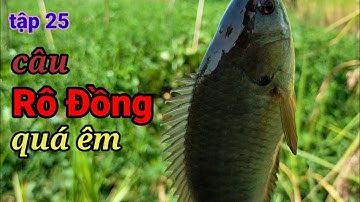 tập 25. Câu Cá Rô Đồng, Trê Vàng, Rô Phi Ngoài Sông Lớn l Dân Quê 66.