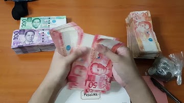 [18] ASMR MONEY SORT & COUNT - Let