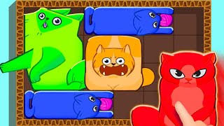 Puzzle Cats Gameplay Walkthrough All Levels iOS, Android - NEW GAME APP (Trailer) screenshot 4