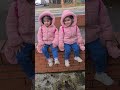 زهرة زهرة التوائم المرح  ترند  