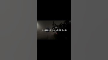 تلاوة مؤثرة || تريح الأعصاب