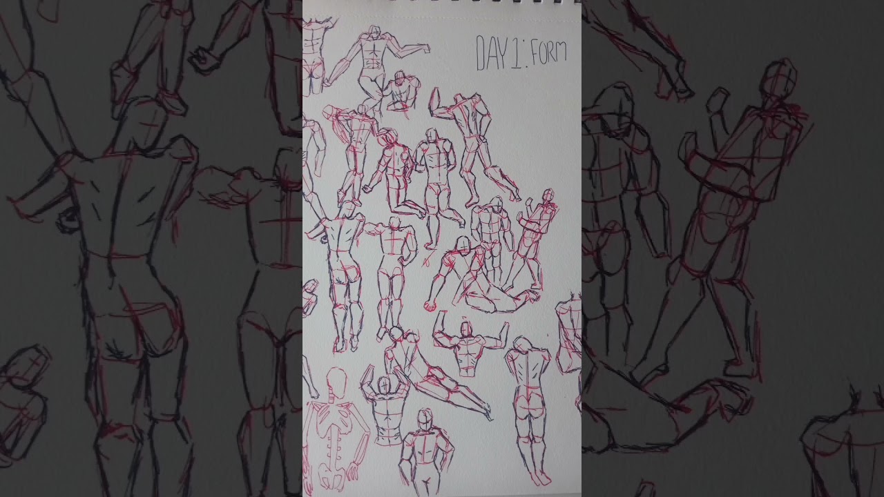 anatomy practice 🤧😮‍💨