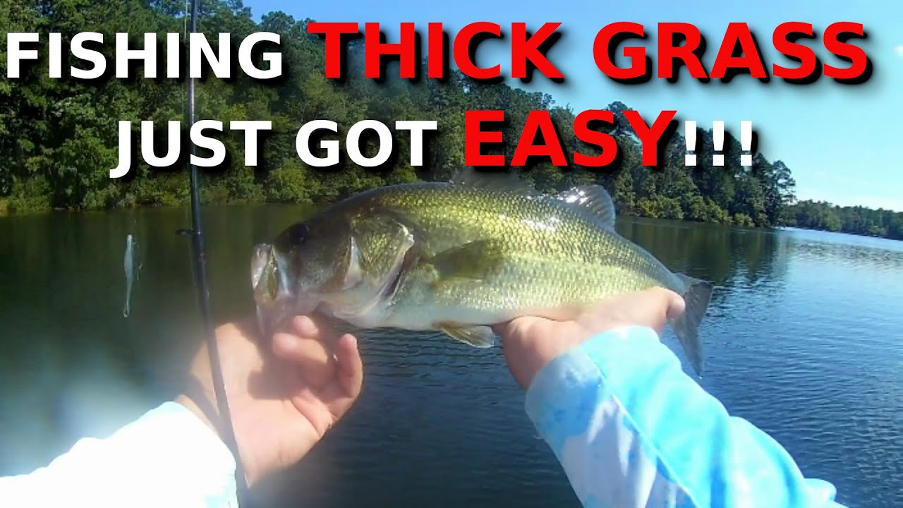 WEEDLESS Lures That Are Catching BIG BASS!!!!
