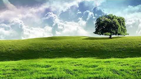 تلاوة نجدية لسورتي الفاتحة والتين / الشيخ ابراهيم محمد بن حميد