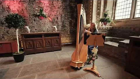 Canon in D Wedding Harp Music - Harpist Shelley Fa...